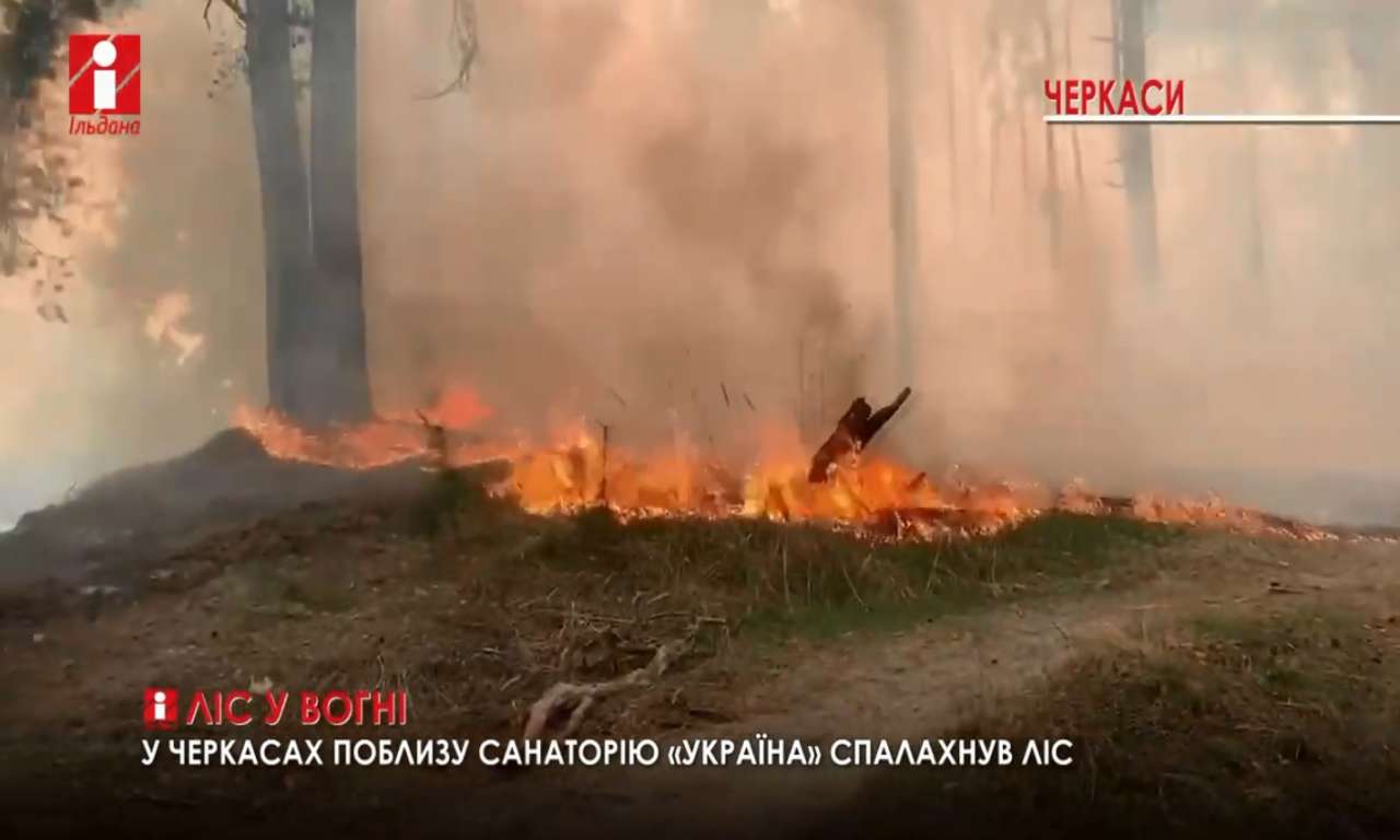 Поблизу санаторію «Україна» під Черкасами спалахнув ліс (ВІДЕО)